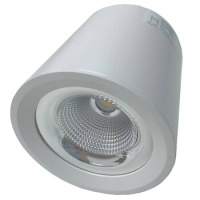 光大 BFL9140 AC220V 60W IP44 6000K 大功率LED明装筒灯 (计价单位:个) 银色__