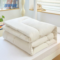 安居先森 # ANJU250801 150*200cm 羽丝绒被 (计价单位:件) 白色