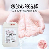 海亚森 TK-7013 5L/桶 泡沫抑菌洗手液5L装 1.00 瓶/桶 (计价单位:桶)