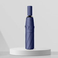 金丝莉(KINTHERI) JS-309 伞 (计价单位:把)