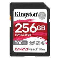 金士顿 存储卡 SDR2/256GB
