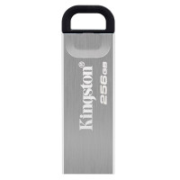金士顿(Kingston) u盘 DTKN USB3.2 256G