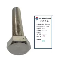 腾达 螺栓全螺纹 GB5783 M10-1.5*160 304 100支/盒 盒