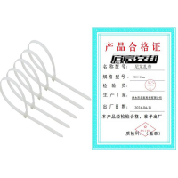 启宸克邦 尼龙扎带 750×10mm 100根/包 包