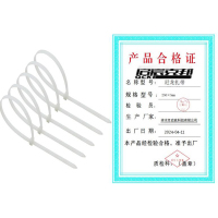 启宸克邦 尼龙扎带 250×5mm 100根/包 包