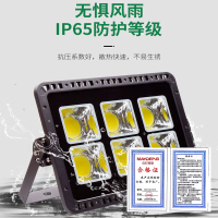 迈灯LED投光灯 MD-TGD-7070 200W 个