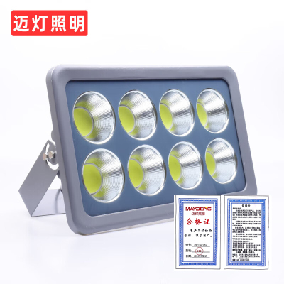 迈灯LED投射灯 MD-TGD-GXQ 100W 个