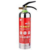 火焰战士 简易式干粉型灭火器 MFJ980不锈钢/个