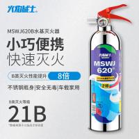 火焰战士 简易式水基型灭火器 MSWJ620B不锈钢款 21B/个