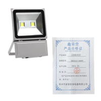 鑫荣登 LED投光灯 XRD553 100W 银白色外壳 套