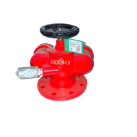 济俊 多用式消防水泵接合器 SQD100-1.6 台