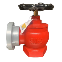 祥雨 室内消火栓 SN65 个