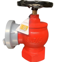 祥雨 室内消火栓 SNZ65 个