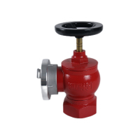 祥雨 室内消火栓 SNZW65-I 个