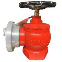 祥雨 室内消火栓 SNW65-III型 个