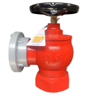 祥雨 室内消火栓 SNZW65-III型 个