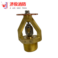 济俊 特殊应用喷头 非仓库型 CHSAX 363-74℃ Y DN25 粒