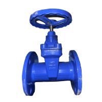 济俊 暗杆软密封法兰消防闸阀 ZSZF-65 DN65 台