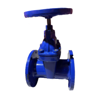 济俊 暗杆软密封法兰消防闸阀 ZSZF-125 DN125 台