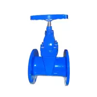 济俊 暗杆软密封法兰消防闸阀 ZSZF-150 DN150 台