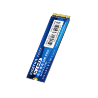忆捷 SSD固态硬盘 S300L-256G M.2接口、NGFF协议 个