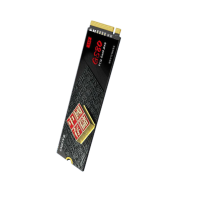 忆捷(EAGET) SSD固态硬盘 GS80-2T M.2接口PCIe 4.0 x4长江存储晶圆 国产TLC颗粒 个