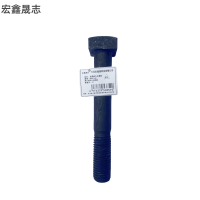 宏鑫晟志 发黑四方头螺丝 M20*140 个