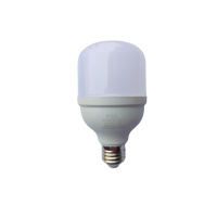 佛山照明(FSL)LED节能灯泡T70柱形泡大螺口15W E27白光/个