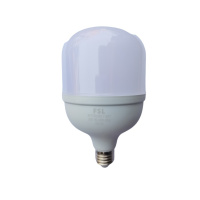 佛山照明(FSL)LED节能灯泡T70柱形泡大螺口30W E27白光/个