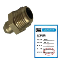 普拉塞(Plasser) 黄油嘴 平角6mm 个