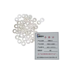 伟鹏双兴 四氟压力表垫片 M20(18*8*3) 每个