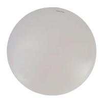 三雄极光 吸顶灯 三防24W 6500K PAK41755j /个