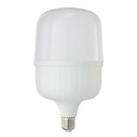 三雄极光 LED球泡 40W 6500K LED柱型泡PAK542923 /个