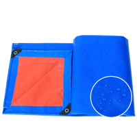 铁驰 蓝桔加厚防雨布 8*10米 张