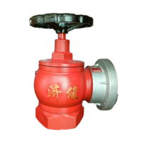 济俊 旋转室内消火栓 SNZ65 DN65 台