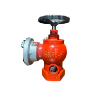 济俊 自救卷盘室内消火栓 SN65-Y DN65 台