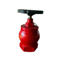 济俊 三型旋转减压稳压室内消火栓 SNZW65-III DN65 台