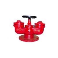 济俊 多用式消防水泵接合器 SQD100-1.6A 台