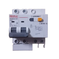 人民电器 剩余电流动作断路器 RDB5LE-63 C63 2P 个