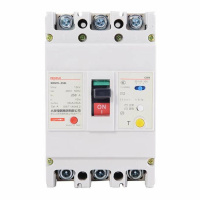 人民电器漏电断路器RDM1L-250/3300 250A 个