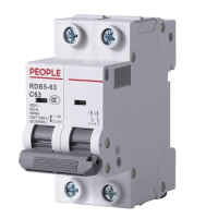 人民电器空气开关RDB5-63 C63 2P 个