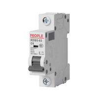 人民电器 小型断路器 RDB5-63 C6 1P个