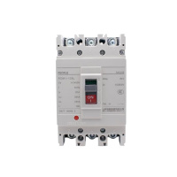 人民电器(PEOPLE)塑壳断路器RDM1-125L/3300 80A个