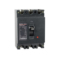 人民电器塑壳断路器RDM10-100/3300 100A 个