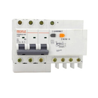 人民电器漏电保护断路器空气开关总闸RDB5LE-63 C型 4P 32A 个