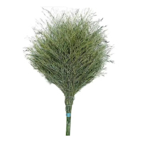 松丰 大竹子扫把竹扫帚大扫把 210cm*80cm 把