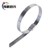 伟鹏双兴 不锈钢扎带 自锁耐高温绑扎带 7.9*1800mm 根