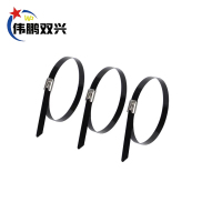 伟鹏双兴 喷塑不锈钢扎带 自锁耐高温绑扎带 4.6*300mm 根