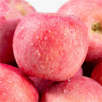 晋唐 陕西红富士苹果脆甜多汁时令新鲜水果生鲜苹果十斤装