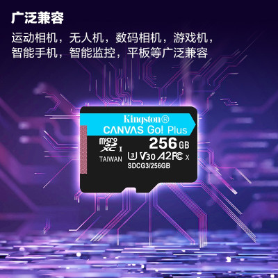 金士顿(Kingston)256GB TF(MicroSD)存储卡 行车记录仪内存卡 手机内存卡 U3 V30 A2